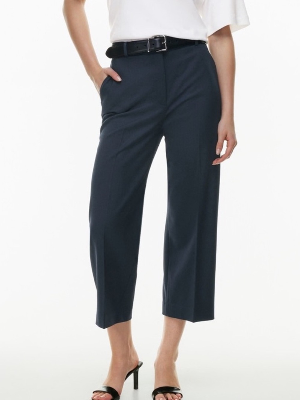 Aritzia Babaton Sz 2 Agency Black Cropped Tailored Career Pants